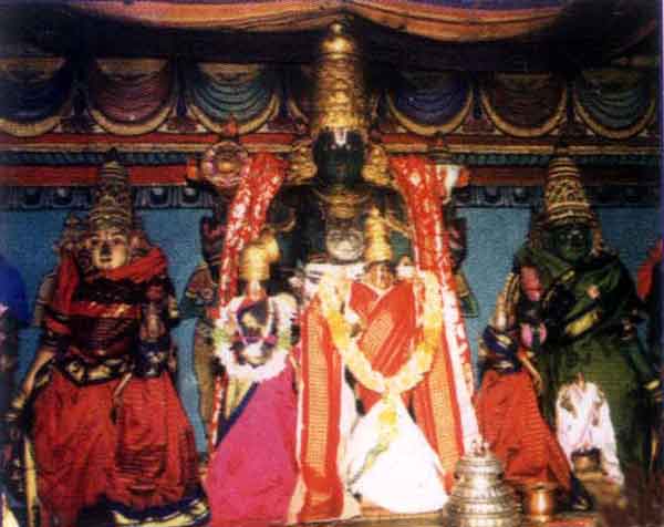 Thiruthankaal (Sivakasi) - Sri Nindra Narayana Perumal Temple