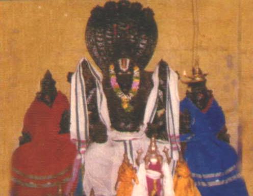 Thiruvaragunamangai - Sri Vijayaasana Perumal Temple