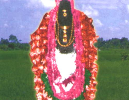 Thiruvithuvakkodu - Sri Uyyavantha Perumal Temple