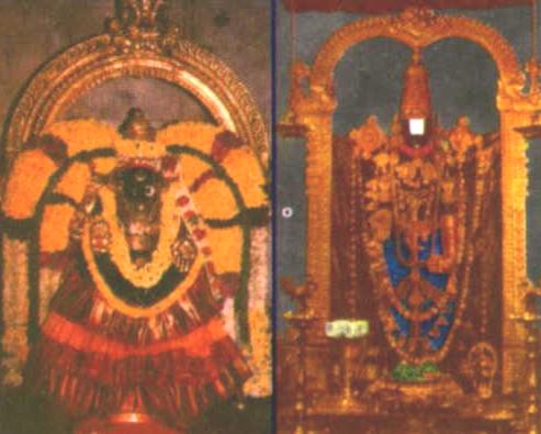 Thirupathi - (Tirumala, Andhra Pradesh) - Sri Srinivasa Perumal Temple